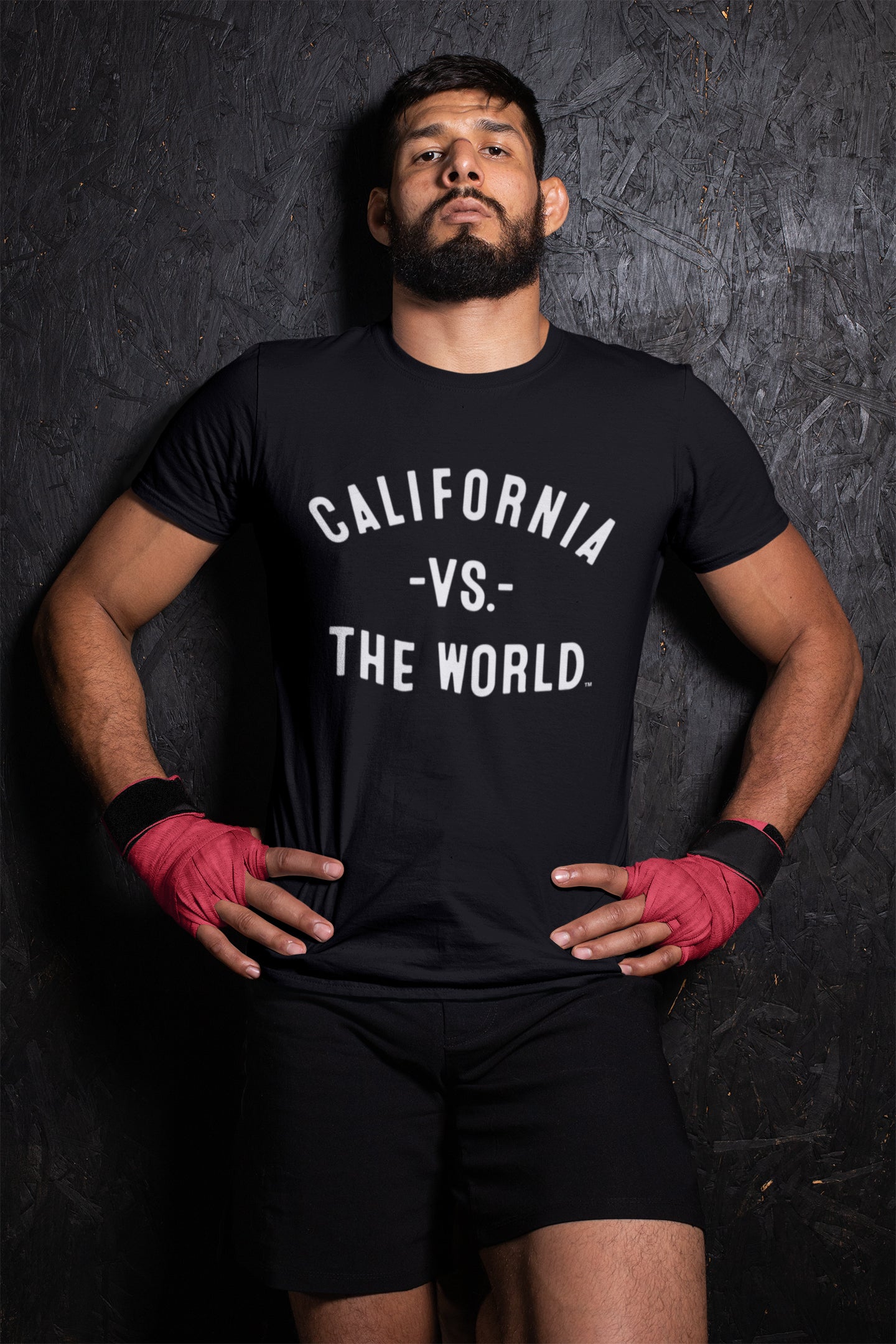 CALIFORNIA Vs The World Unisex T-shirt