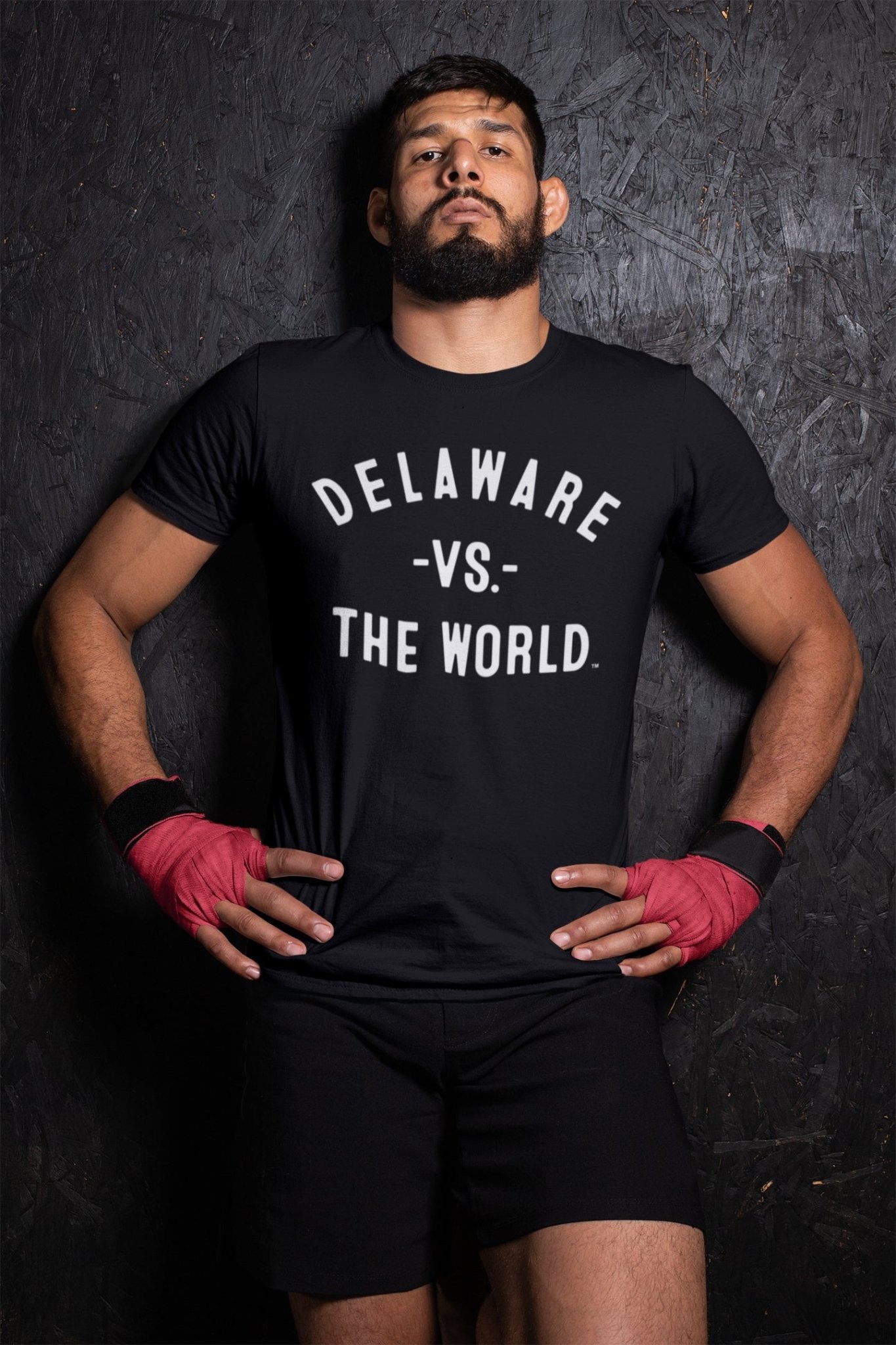 DELAWARE Vs The World Unisex T-shirt - VS THE WORLD